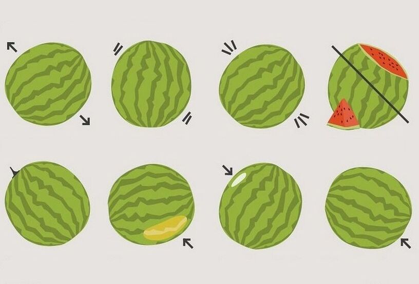 hogyan válasszuk ki a megfelelő görögdinnyét