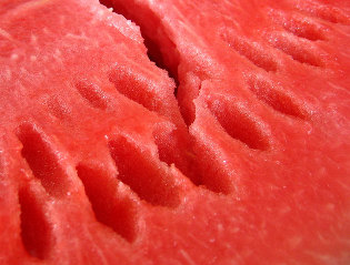 görögdinnye fogyás